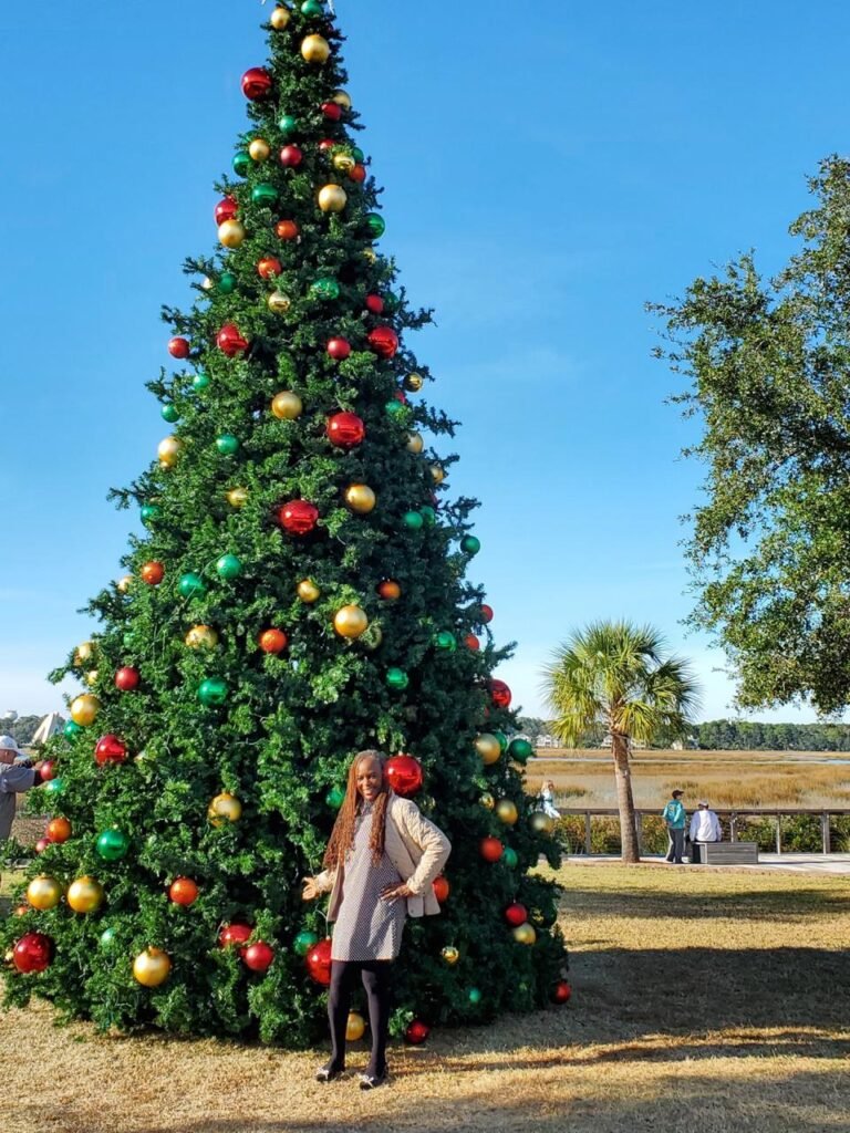 Christmas Tree At Lecques house